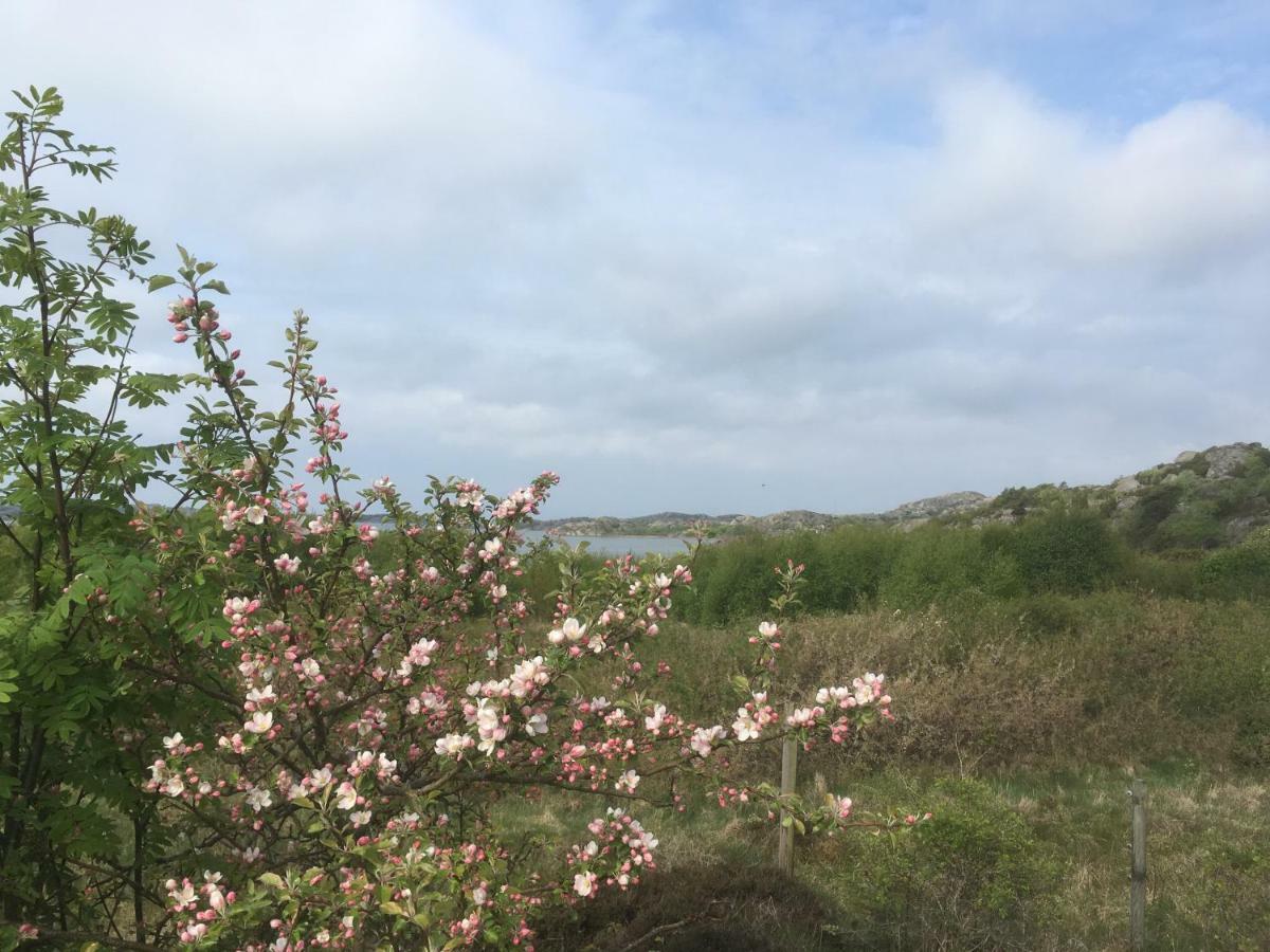 Stuga I Naturskoent Omrade Pa Vaestra Tjoern Saby Luaran gambar